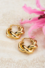 Lade das Bild in den Galerie-Viewer, MY JEWELLERY Iconic Ohrringe mit gedrehtem Muster gold
